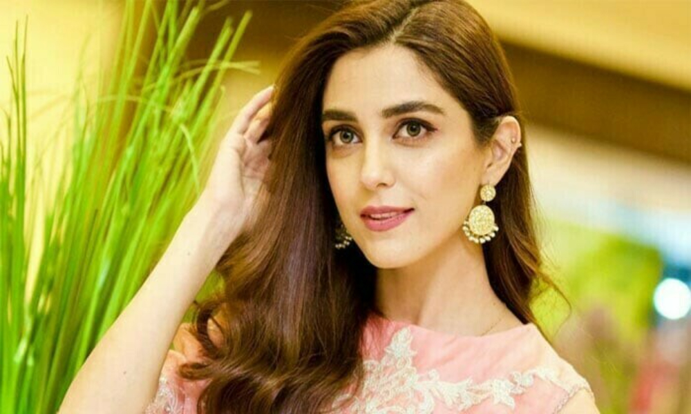 مایا علی کا وطن کے محافظوں کو سلام، 10 مئی قومی فخر کا دن قرار