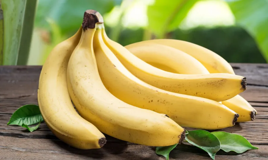 ان آسان سی ٹپس سے کیمیکل سے پکائے گئے مضرصحت کیلے خریدنے سے بچیں