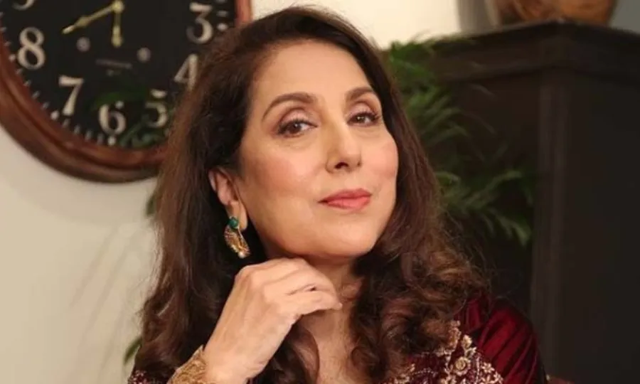 ثمینہ پیرزادہ نے عورت کی کمائی سے متعلق معاشرتی سوچ پر کیا کہا؟