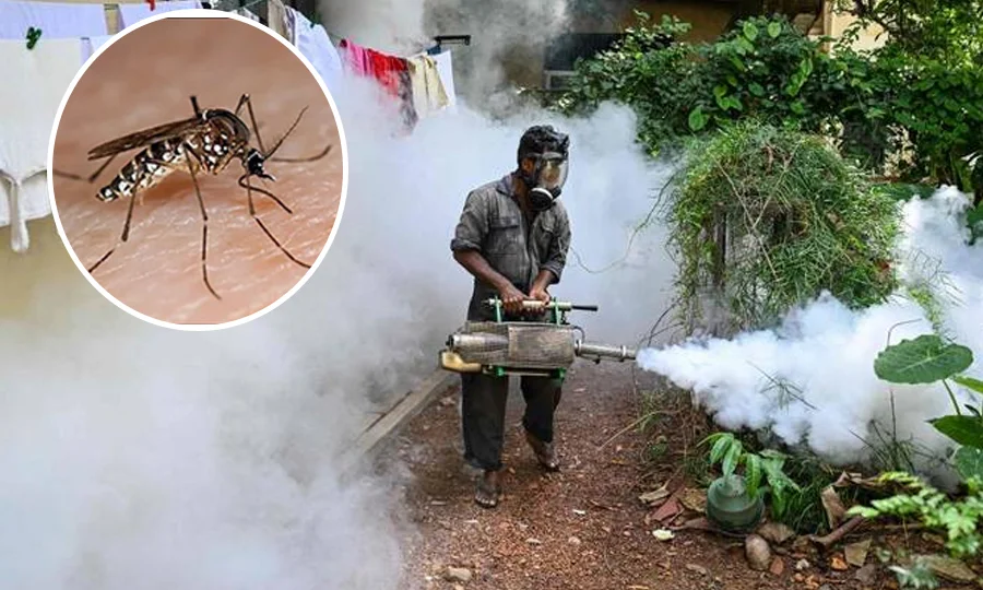 سری لنکا میں ڈینگی کے مریضوں میں خطرناک اضافہ، 44 ہزار سے زائد کیسز رپورٹ