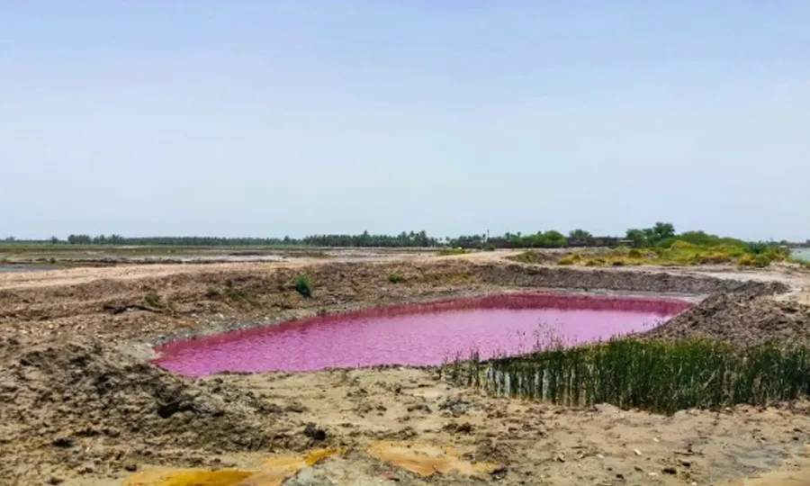 کنڈیارو سندھ میں گلابی رنگت لیے انوکھا تالاب