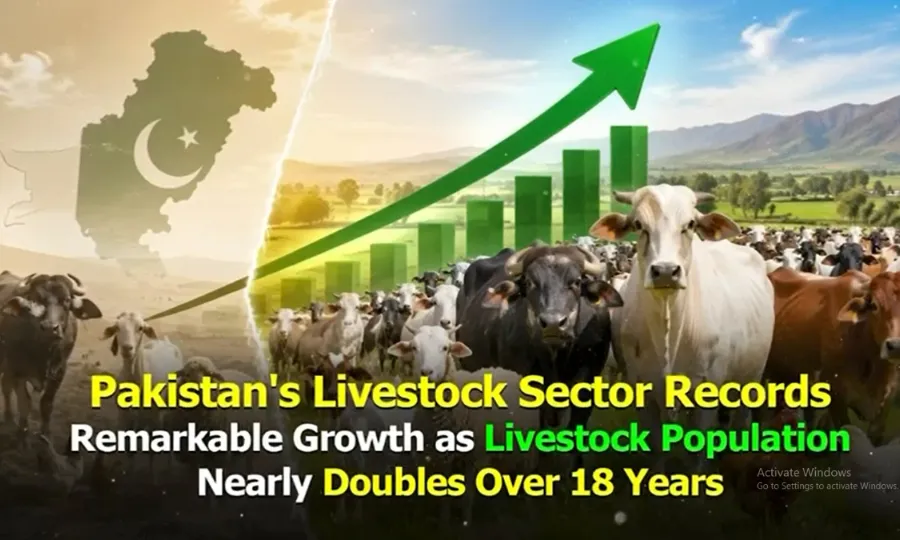 مویشیوں کی تعداد میں تاریخی اضافہ، پاکستان کے ڈیری اور گوشت کے شعبے میں وسعت