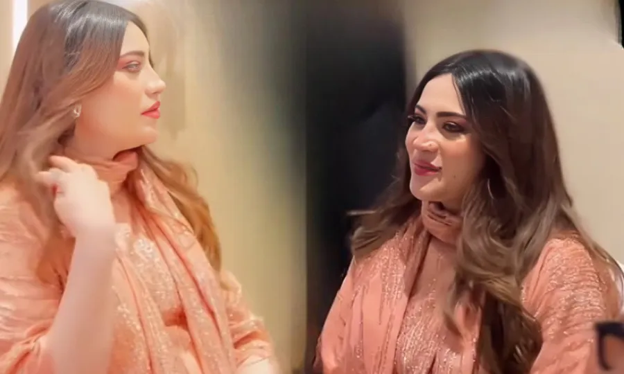 نیلم منیر کی 'بے بی بمپ' کے ساتھ جھلکیاں سوشل میڈیا پر وائرل