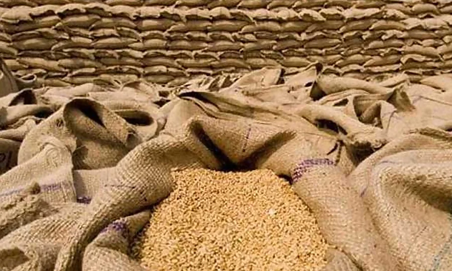 نئے بحران کا خدشہ، پنجاب اور سندھ سے 51 لاکھ ٹن گندم غائب