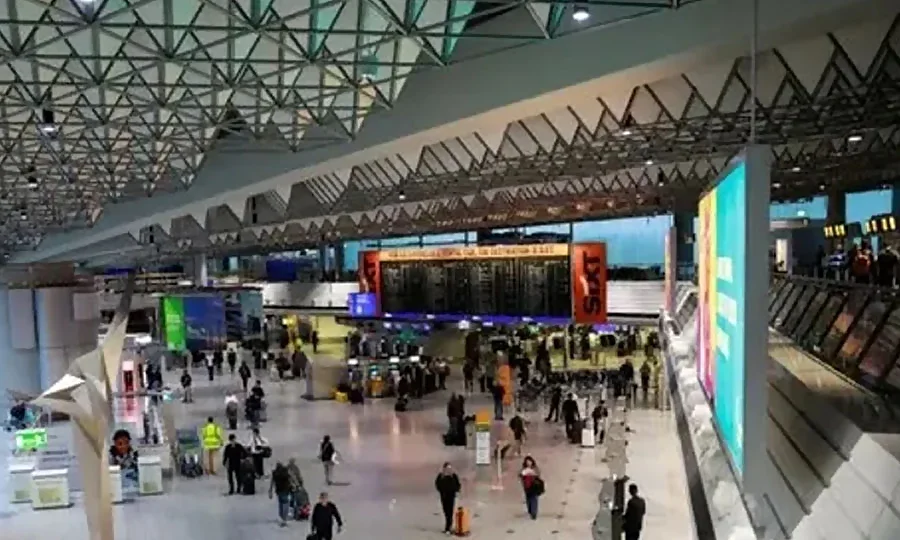 جرمنی میں مسافر طیارے کے ذریعے آنے والے ایک مچھر نے 2 افراد کی جان لے لی