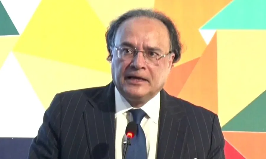 پاکستان کو دوبارہ عروج و زوال کے معاشی چکر میں نہیں جانے دیں گے، وزیر خزانہ