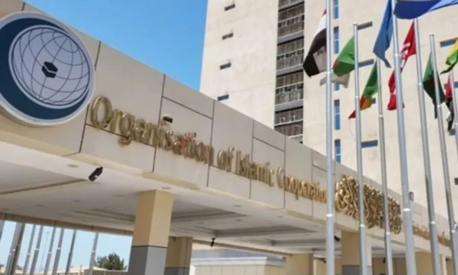 حوثیوں کے حملوں پر او آئی سی کا سخت ردعمل، سعودی عرب کی حمایت کا اعلان