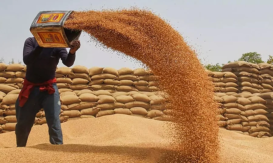 سندھ حکومت کا صوبے میں قیمتوں میں استحکام کے لیے سرکاری گندم جاری کرنے کا فیصلہ