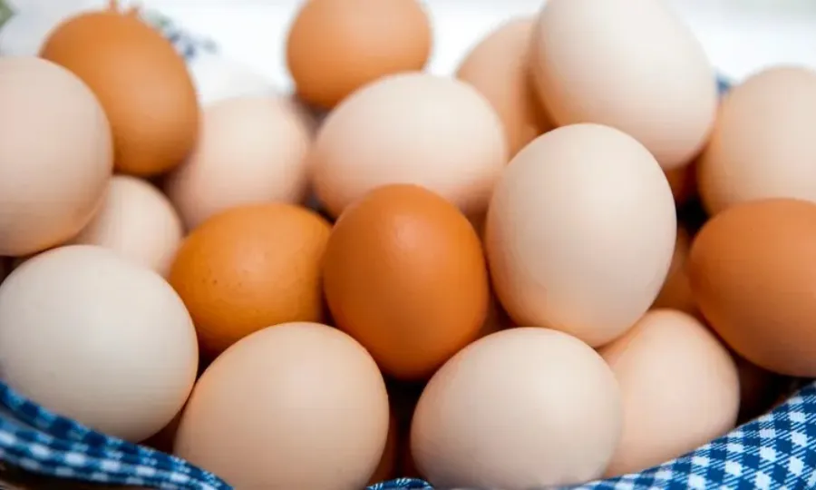 انڈے کھانے سے پہلے ان کی تازگی جانچنے کے 7 آسان گھریلو طریقے