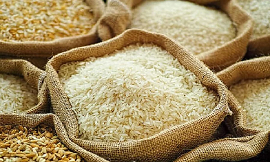 پاکستانی چاول کی دنیا بھر میں دھوم، ستمبر میں 4 لاکھ 20 ہزار ٹن سے زائد چاول برآمد